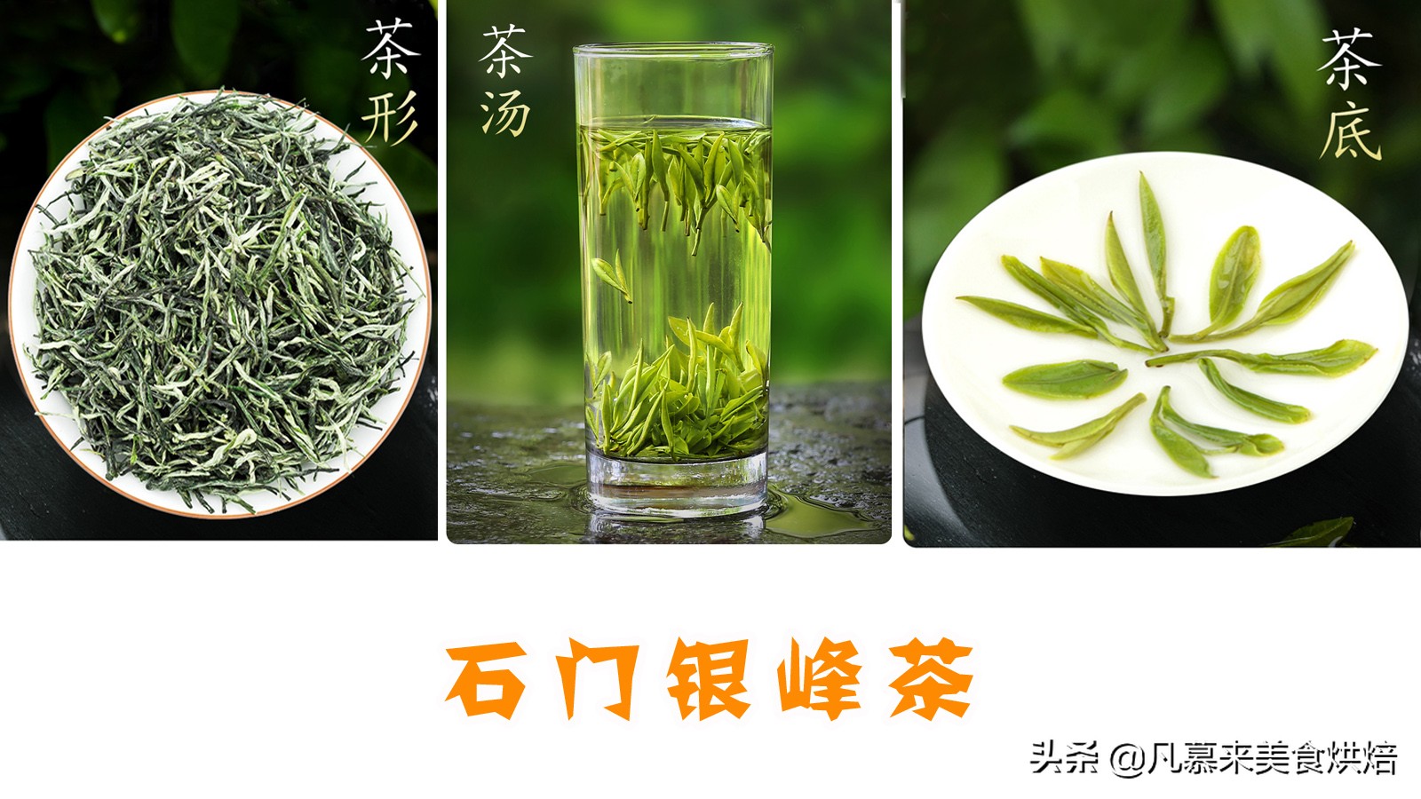 什么茶叶最好喝排名前十名,哪种茶叶最经典最好喝图片