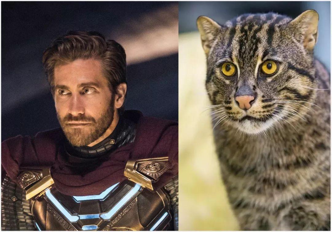 蜘蛛侠凭什么接班钢铁侠？托尼：全宇宙他最像我！（附录彩蛋）