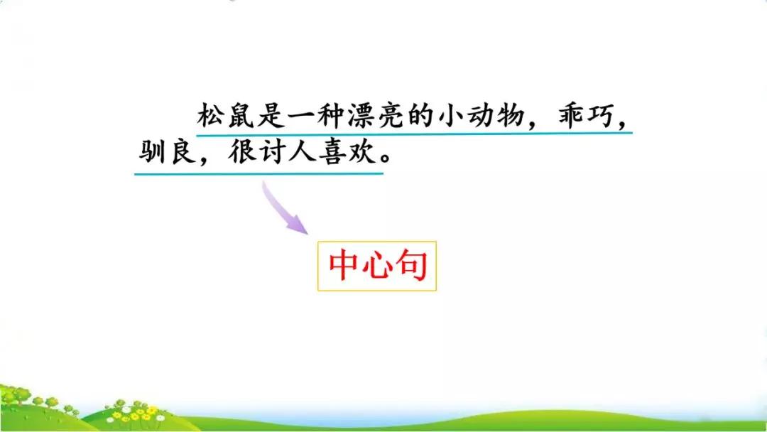 五年级语文第17课松鼠讲解,五年级上册第17课松鼠教材详解