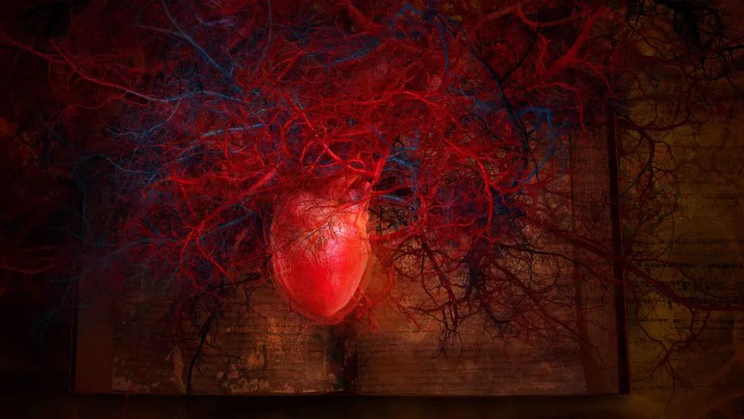 见地|张小涛:数字艺术的裂变——从媒体实验室到公共场域