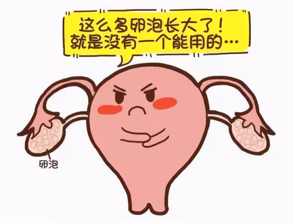 南昌华儿山科普：卵泡正常发育，可就是不排卵，这是为什么？
