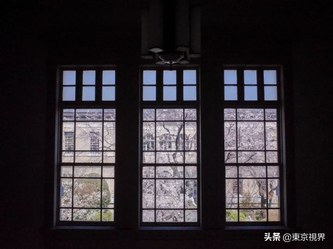 我在京都，攒下一整个春日的绝美樱色送给你。