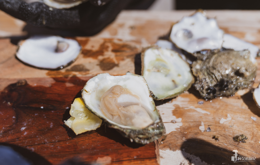 在南澳大利亚的艾尔半岛，Get黄教主同款生蚝农场之旅