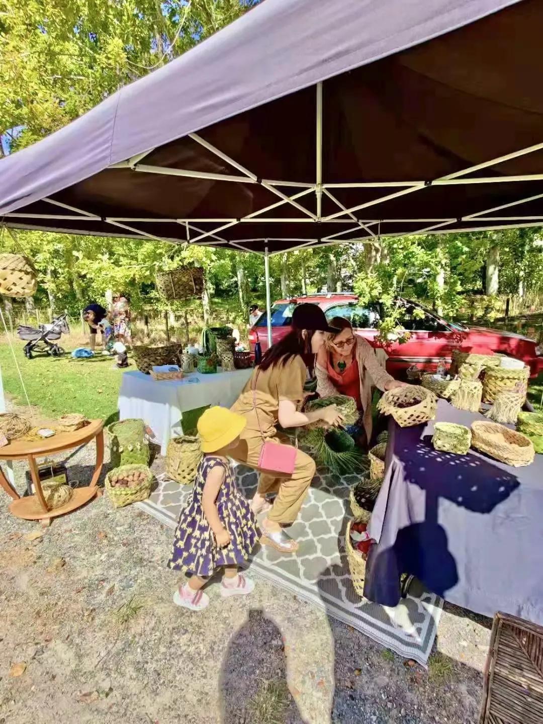 我爱全身是宝的新西兰麻