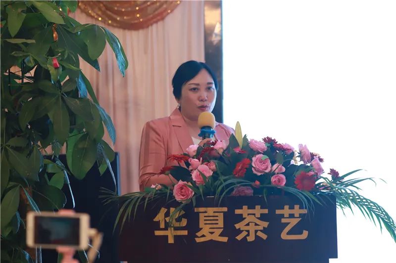 四川观茶｜华夏茶学携手湖南茶频道，打造茶文化最有价值网络主播