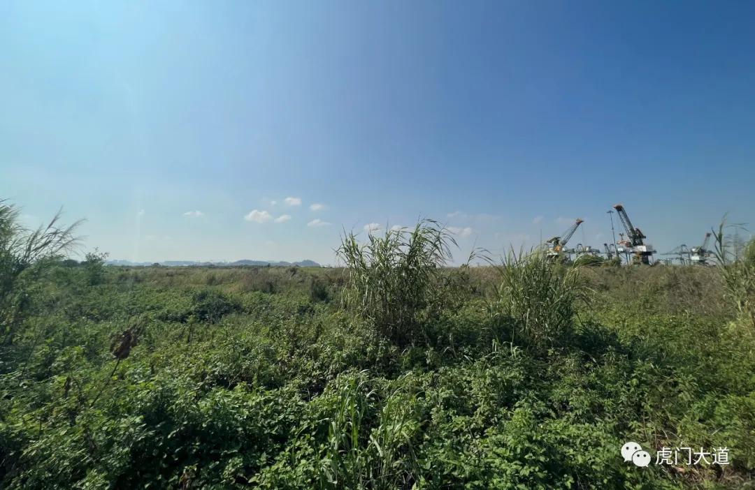 东莞新增过江通道规划,东莞过江通道规划图