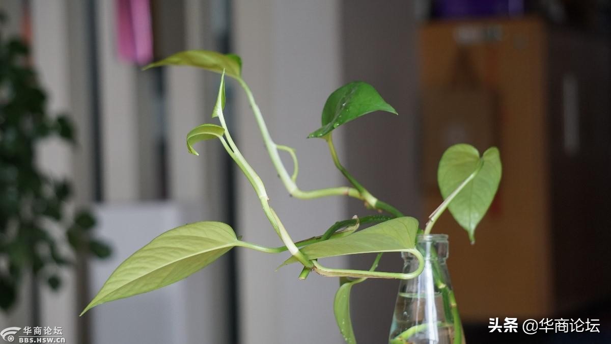 疫情下的城市生活纪录片,西安疫情每天新增记录图