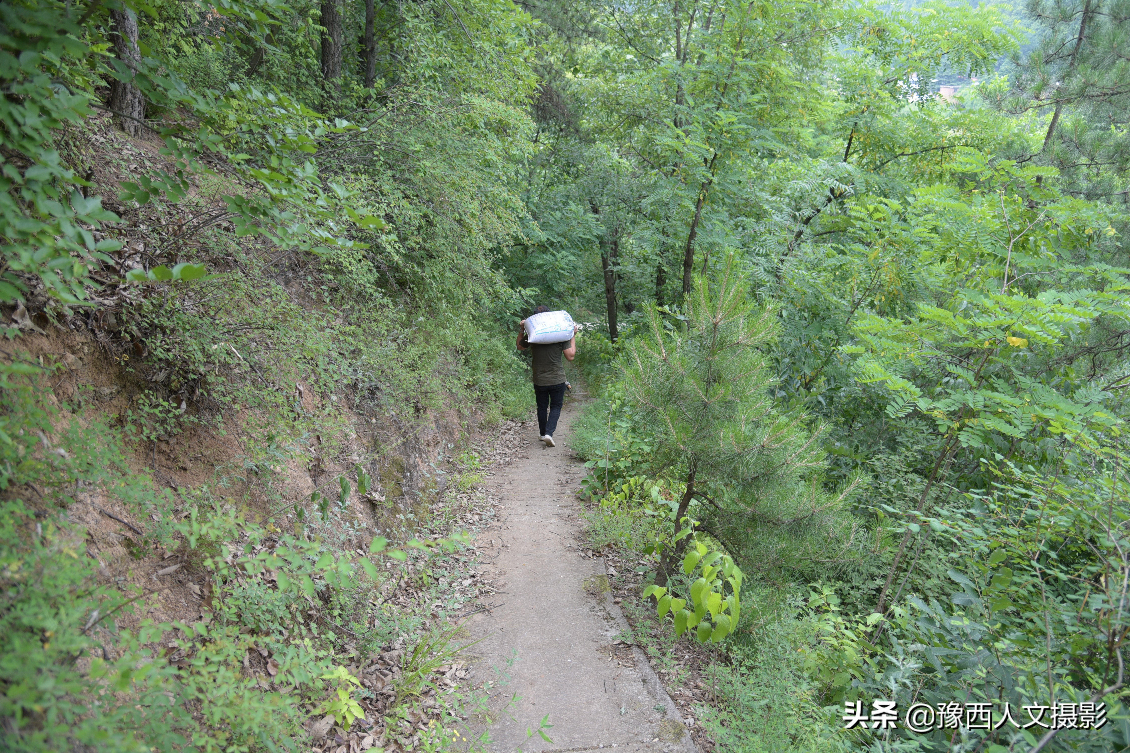 山里父亲10年前为儿子打算，藏一囤小麦两桶黄豆，娶媳妇却没用上