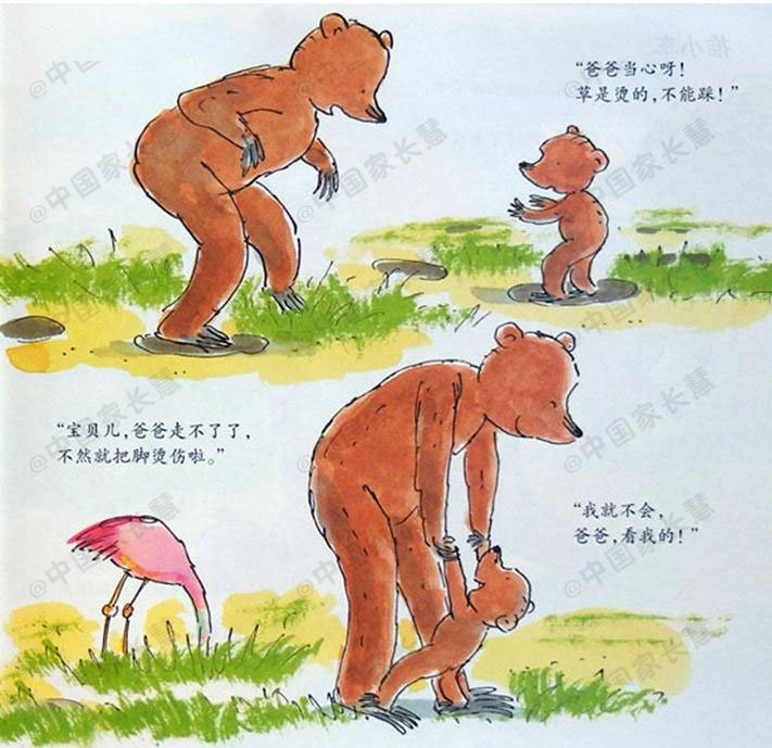 绘本故事小熊和最好的爸爸,绘本故事小熊和最好的爸爸ppt