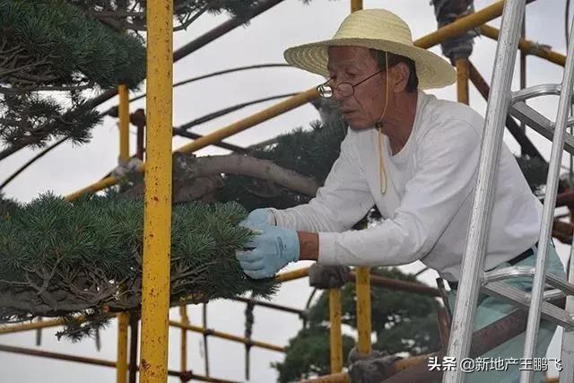 *瑰园玫**|曲江池畔的「叛逆少年」，匠心打磨的「凝固艺术」