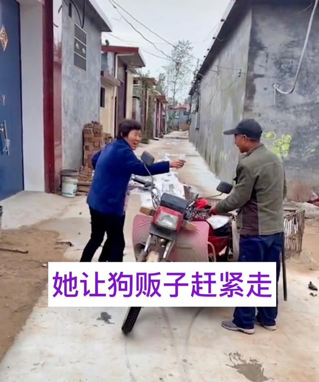 河南奶奶10元卖孙女养2年的狗,河南一奶奶10块卖狗奶奶后续