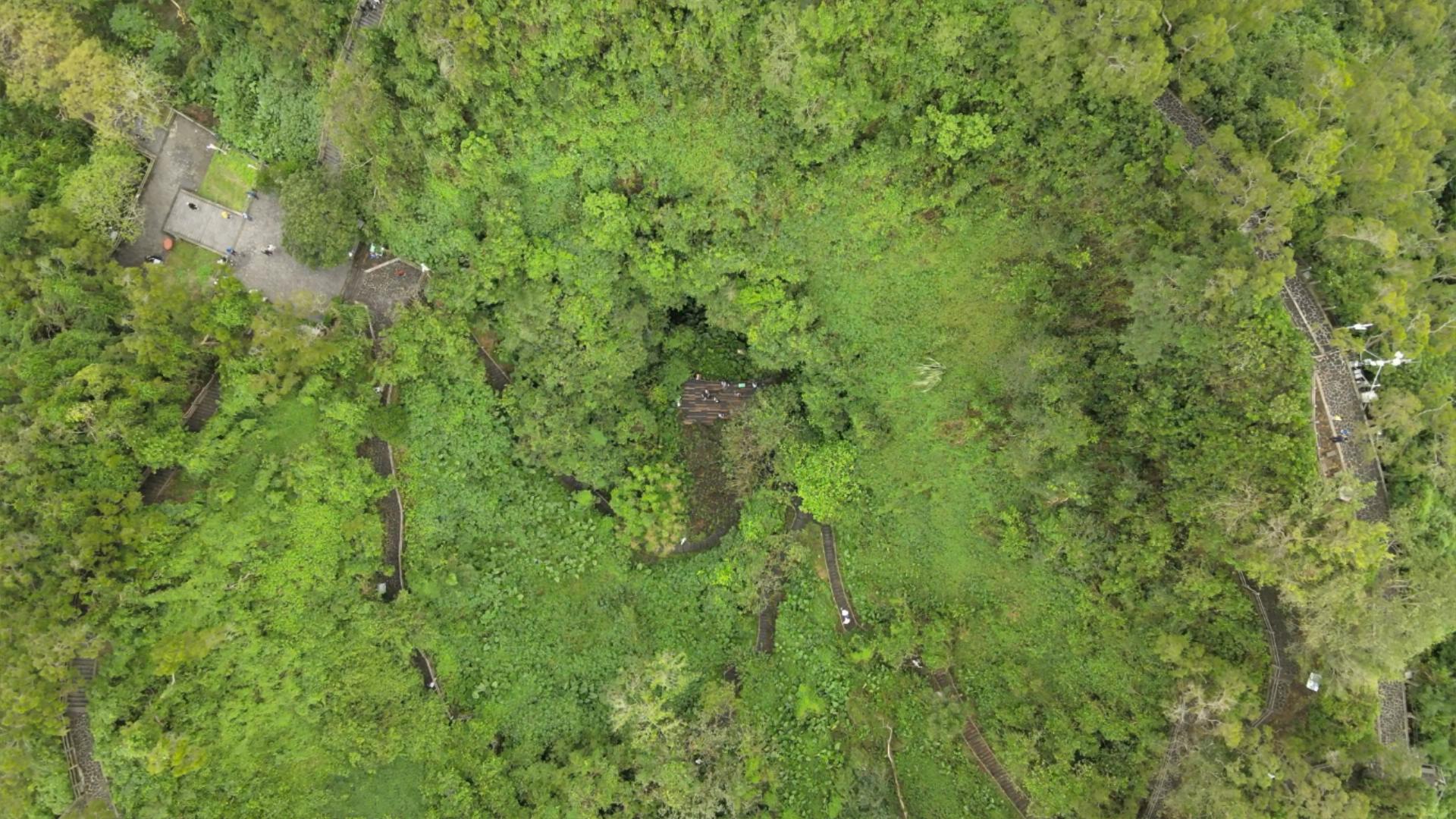 逐梦自贸海动椰城,逐梦海口嗨动椰城