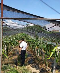 银行助力乡村振兴贷款简报,村镇银行信贷创新