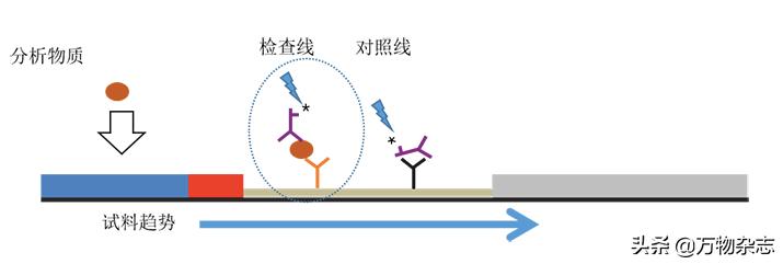 新冠测试纸是谁研制的,新冠测试纸原理