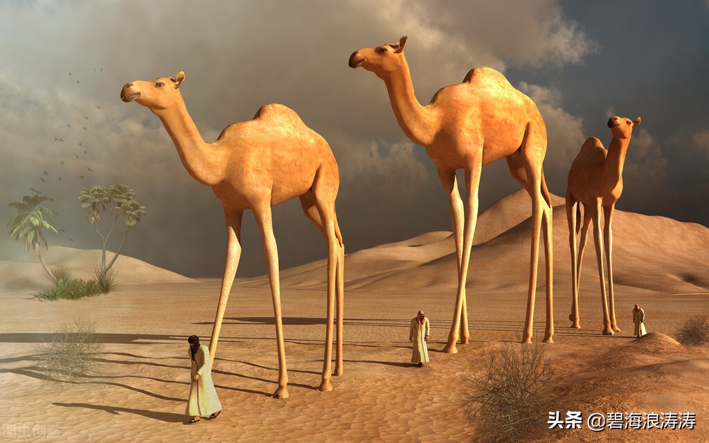 华夏幸福股价趋势今日,华夏幸福股票今日分析