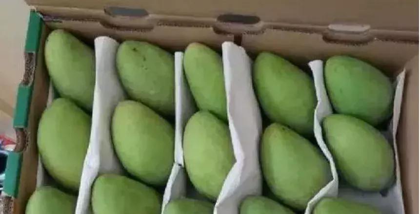 水果运输包装需注意什么,水果发快递包装规范