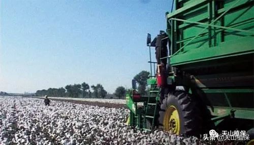 棉籽收购机价格表,去籽棉花价格最新行情