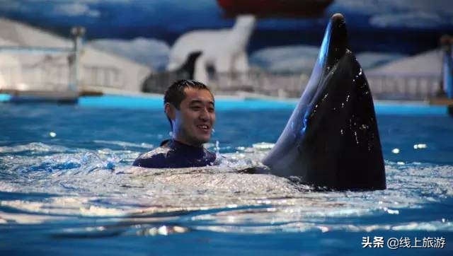 青岛三天旅游攻略详细,青岛旅游美食攻略最值得去的地