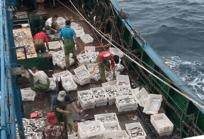 鳌鱼清蒸,鳌鱼清蒸做法窍门