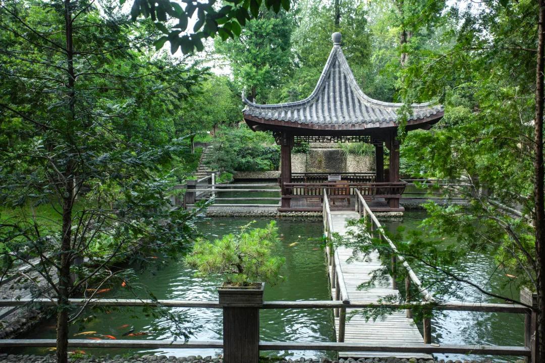 莫干山原木风绿野仙踪花园民宿,莫干山桃坡探险乐园绿野仙踪