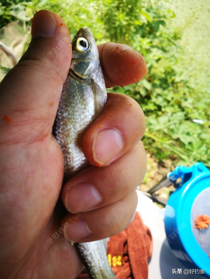 忙里偷闲的出来钓个鱼,忙里偷闲钓鱼