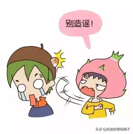 新加坡12件事,新加坡11件大事件