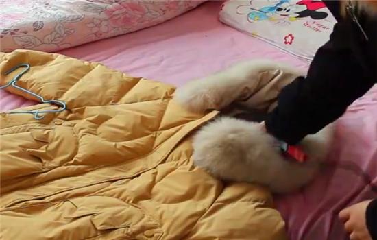 如何让水洗的羽绒迅速蓬松,羽绒服水洗了成坨怎么蓬松