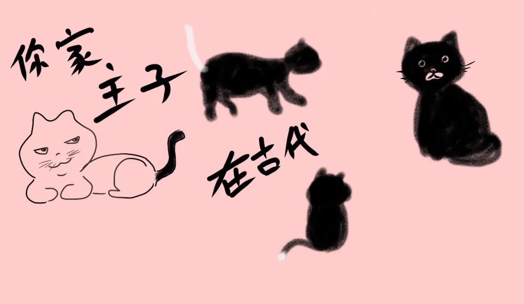 中国猫的雅称,猫生百态包括什么