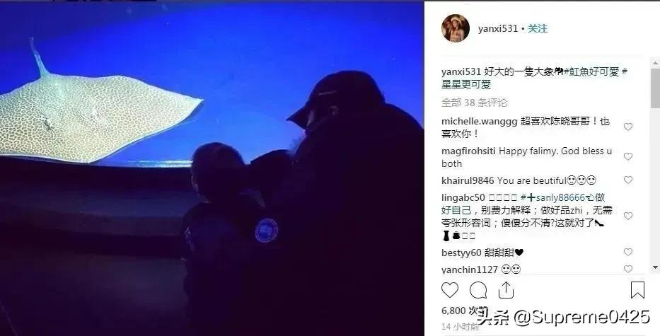 双陈夫妇感情分析,双陈夫妻现在怎么样了