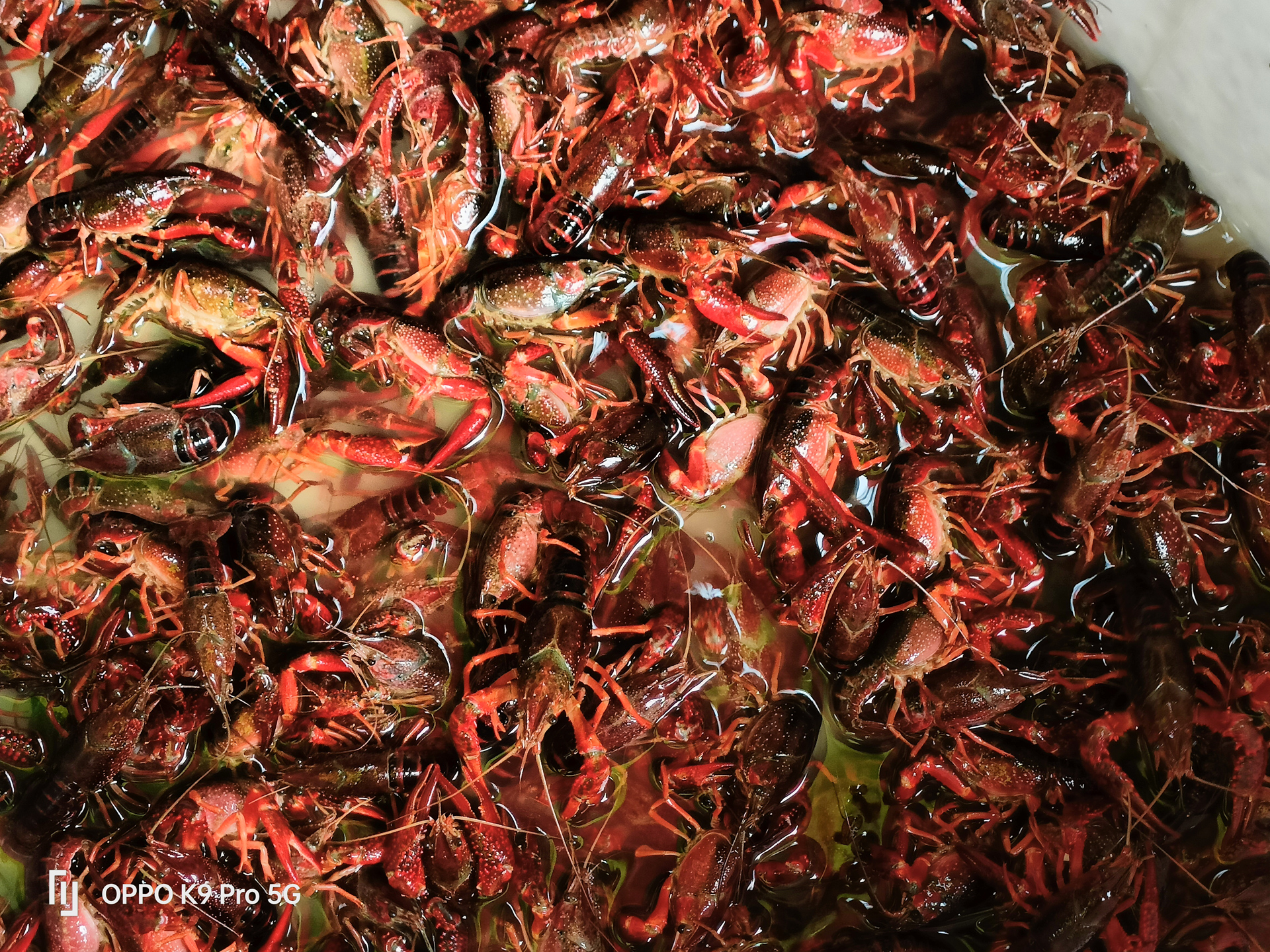 oppok9pro最新评测,oppok9pro测评最新