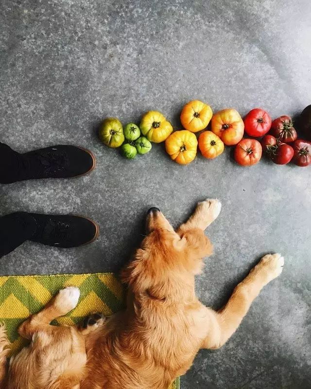 唯有美食治愈强迫症患者,强迫症吃各种美食