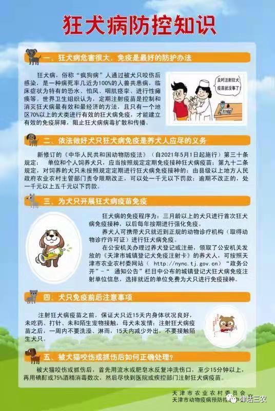 狂犬病防控知识调查问卷,狂犬病的预防知识教案