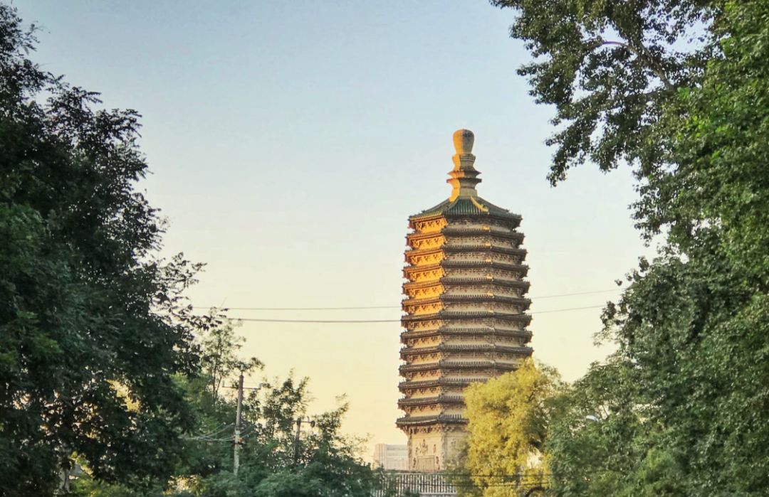 老家河南抖音,老家河南央视宣传片