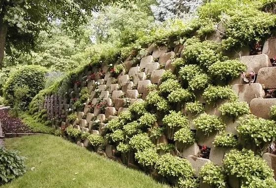 园林植物栽培与养护包括哪些内容,园林绿化种植什么植物