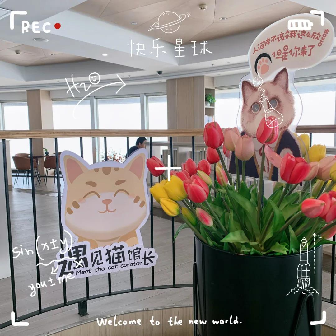 天津天塔里面都有什么,天津的宝藏地点