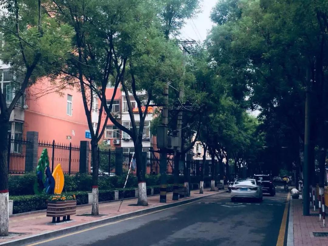 太原市最美道路,太原老街巷的风景