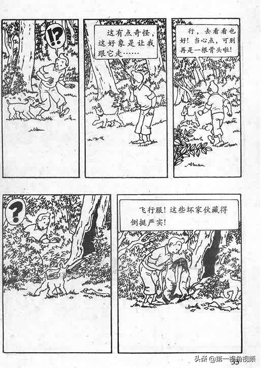 丁丁历险记刚果完整版,丁丁历险记西藏