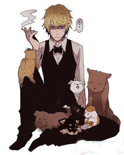 国家让我去当猫小说免费阅读,国家让我去当猫角色解析