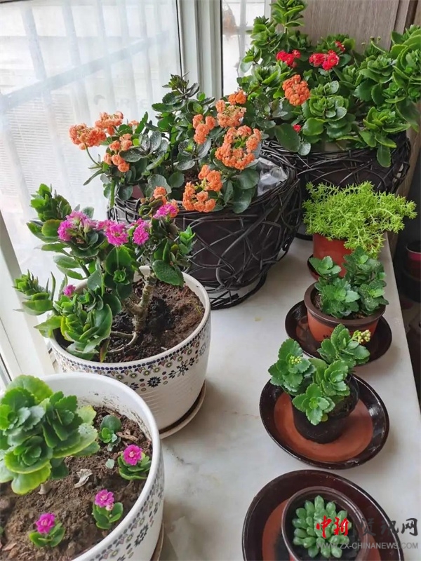 ISQS|全课程的魅力!国小学生在《秘密花园》中寻找成长的魔法!