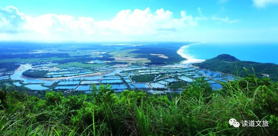 农业种植如何设计项目融资,个人投资农业项目怎么起步