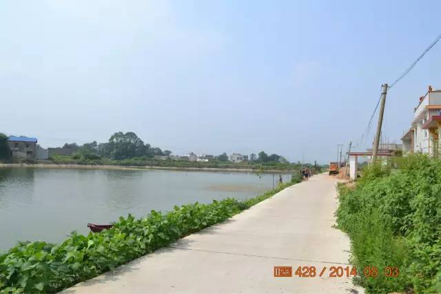 湖南最好的锦鲤养殖基地,湘潭锦鲤养殖