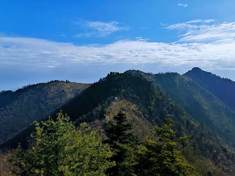 20201101惊悚之行~首阳山大坪梁单日横穿+原返