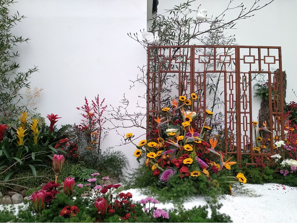 许昌鄢陵腊梅,许昌蜡梅