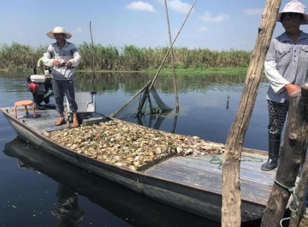 瀹夊窘鏈夊叧鏈卞厓鐠嬬殑鏅偣,鏈卞厓鐠嬫浘缁忓埌杩囩殑鏅偣