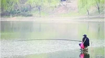 早钓鱼晚钓虾中午钓大王八,钓鱼钓虾钓王八