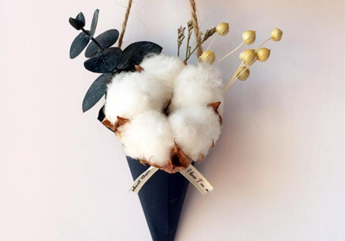 棉田管理的方法,棉田除草的正确方法