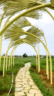 双流空港花田最新进展,双流空港花田开放了吗最新回复