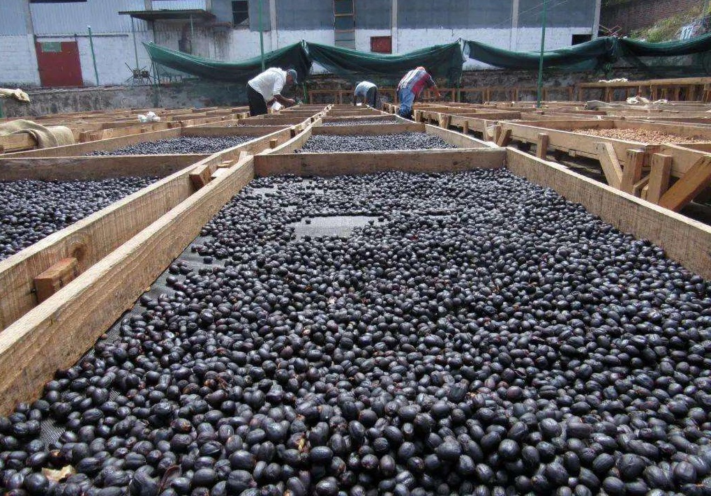 萨尔瓦多在地球哪里,萨尔瓦多究竟是一个怎样国家