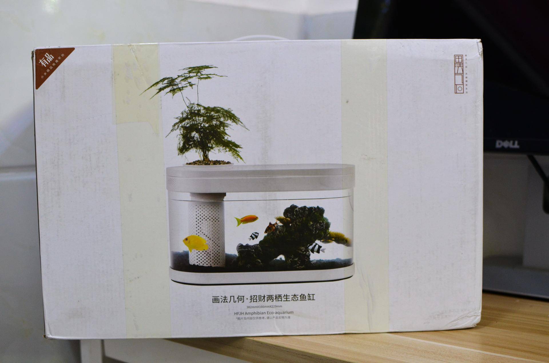 小米生态鱼缸养巴卡雷龙,小米生态缸养鱼入门基础教程