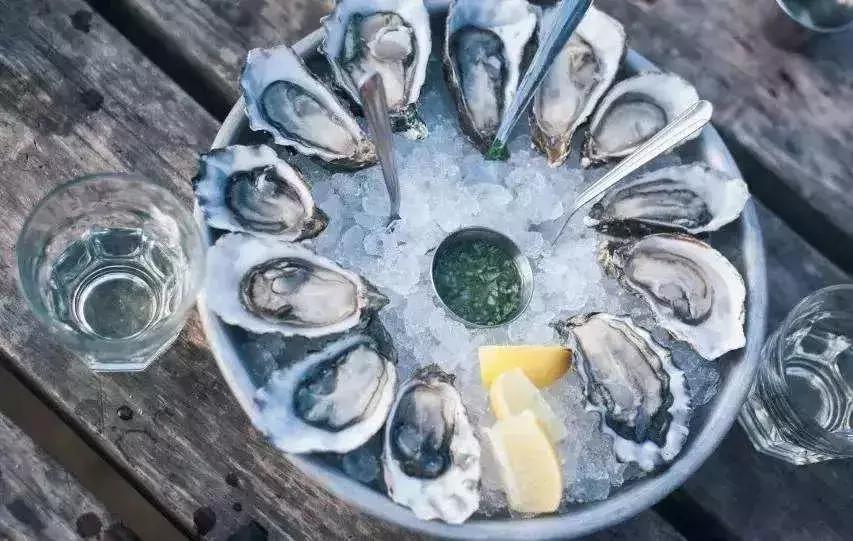 悉尼有多迷人,悉尼为什么是澳洲最宜居城市